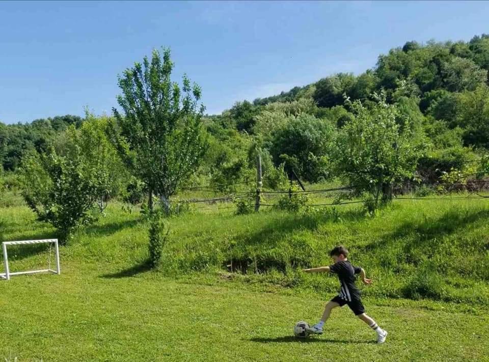 Zelinjski Vidikovac Zvornik Exterior foto